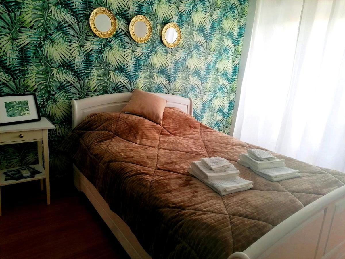 Cocoon Guest House Vendas Novas Exteriér fotografie